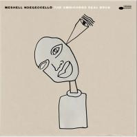 Meshell Ndegeocello: The Omnichord Real Book LP