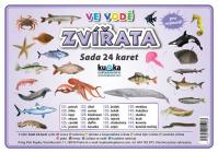 Sada 24 karet - zvířata ve vodě (A5)