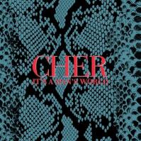 Cher: It´s A Man´s World Dlx.  LP