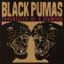 Black Pumas: Chronicles of a Diamond