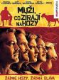 Muži, co zírají na kozy - DVD