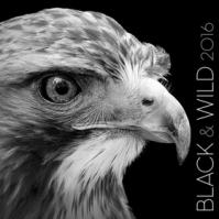 Black & Wild 2016 - nástěnný kalendář