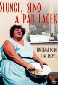 Slunce, seno a pár facek - DVD