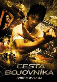 Cesta bojovníka - DVD