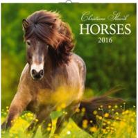 Kalendář nástěnný 2016 - Koně - Christiane Slawik, poznámkový 30 x 30 cm