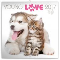 Kalendář poznámkový 2017 - Young Love/koťata - štěňata