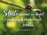 Štěstí musíme zachytit - plechová cedulka