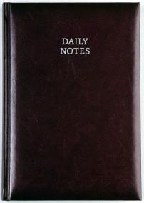 Daily Notes - New Karachi denní A5 - hnědá