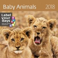 Kalendář nástěnný 2018 - Baby Animals