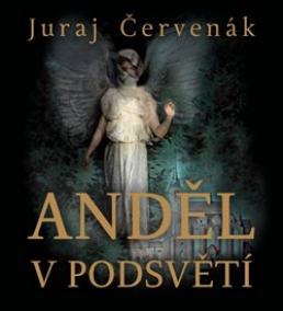 Anděl v podsvětí (2x Audio na CD - MP3)