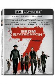 Sedm statečných (2016) Blu-ray