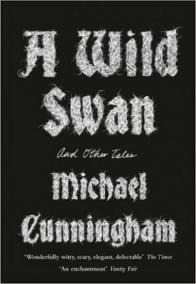 A Wild Swan : And Other Tales