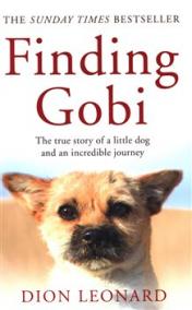 Finding Gobi