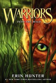 Warriors 1: Into the Wild