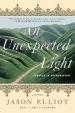 An Unexpected Light: Travels in Afghanistan