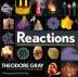 Reactions : An Illustrated Exploration of Elements, Molecules, and Change in the Universe