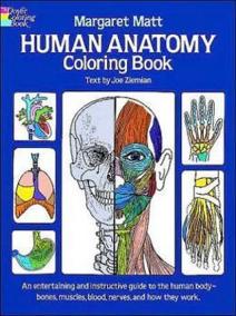 Human Anatomy: Coloring Book