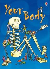 Your Body