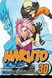 Naruto #30