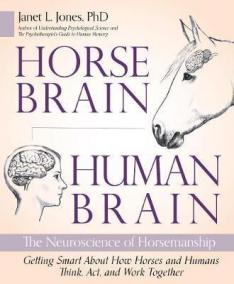 Horse Brain, Human Brain : The Neuroscience of Horsemanship