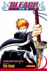 Bleach 1