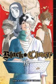 Black Clover 17