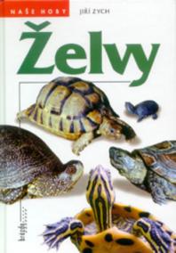 Želvy