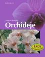 Orchideje