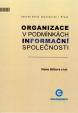 Organizace v podmínkách informační společnosti