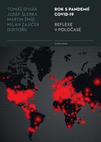 Rok s pandemií covid-19 Reflexe v poločase