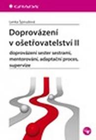 Doprovázení v ošetřovatelství II - doprovázení sester sestrami, mentorování, adaptační proces, supervize