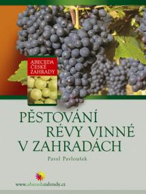 Pěstování révy vinné v zahradách