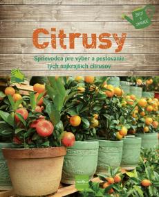 Citrusy