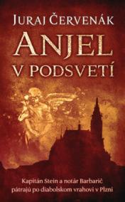 Anjel v podsvetí (Barbarič a Stein 7)