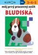 Bludiská - môj prvý pracovný zošit