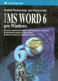 MS WORD 6 pro Windows