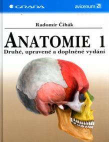 Anatomie 1.