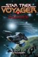 Star Trek: Voyager 3: Ragnarök