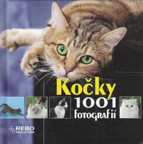 Kočky - 1001 fotografií