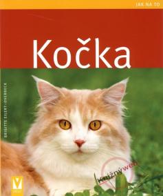 Kočka - Jak na to