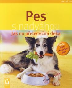 Pes s nadváhou - Jak na to