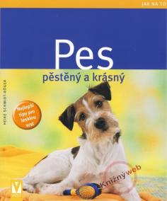 Pes pěstěný a krásný