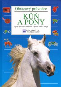 Kůň a pony