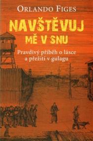 Navštěvuj mě v snu