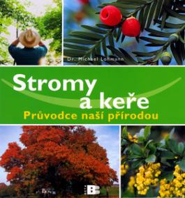 Stromy a keře