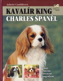 Kavalír king Charles španěl