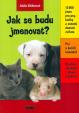 Jak se budu jmenovat?