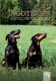 Jagdteriér