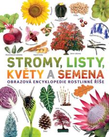 Stromy, listy, květy a semena - Obrazová