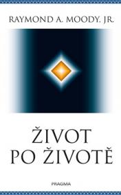 Život po životě